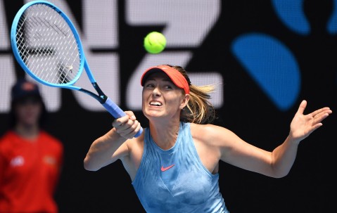 开云- 莎拉波娃经典比赛 